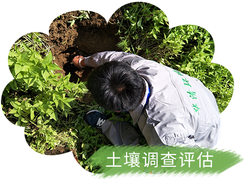 全國土壤詳查