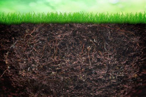 土壤微生物修復局限性 土壤微生物修復局限性