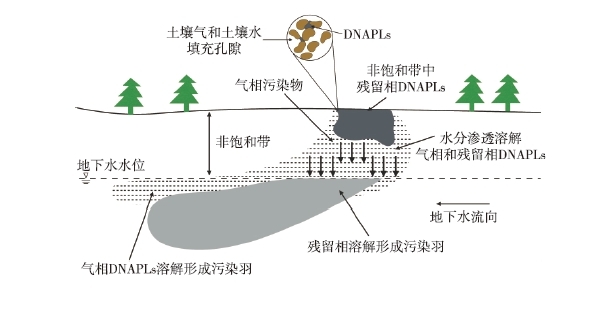DNAPLs泄漏至地表后，受到重力作用向下遷移